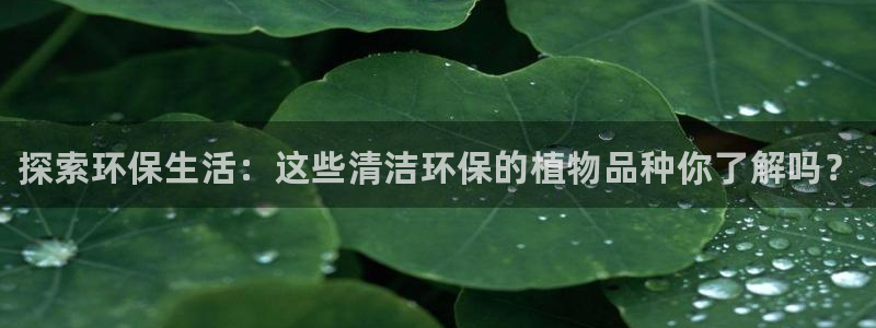 <h1>k8凯发(中国)天生赢家·一触即发汉得信息</h1>探索环保生活：这些清洁环保的植物品种你了解吗？